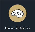 concussion 